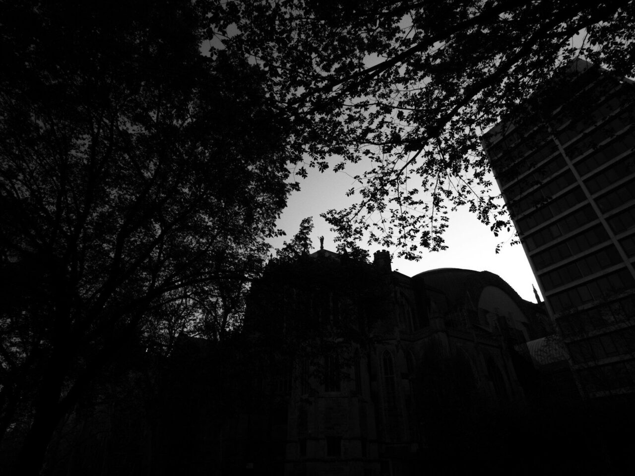a black and white photo of a building and trees